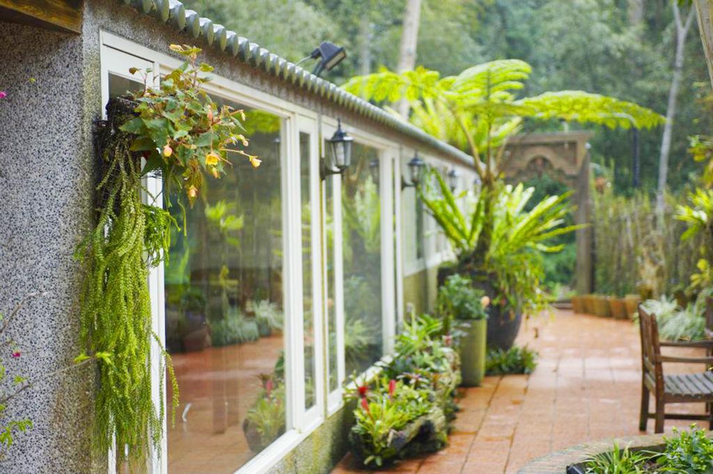 Green Shine B&B Nanzhuang Dış mekan fotoğraf